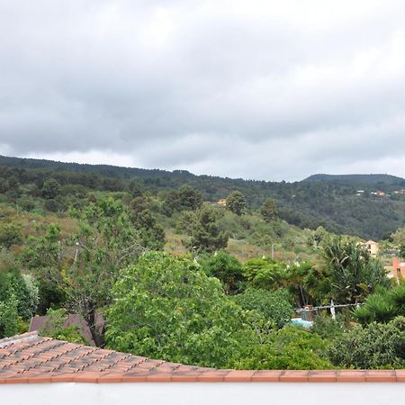 Oasis Hill Icod De Los Vinos Dış mekan fotoğraf