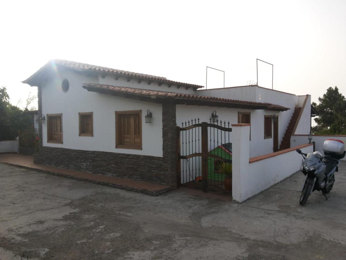 Oasis Hill Icod De Los Vinos Dış mekan fotoğraf