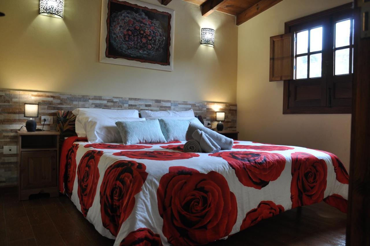 Oasis Hill Icod De Los Vinos Dış mekan fotoğraf