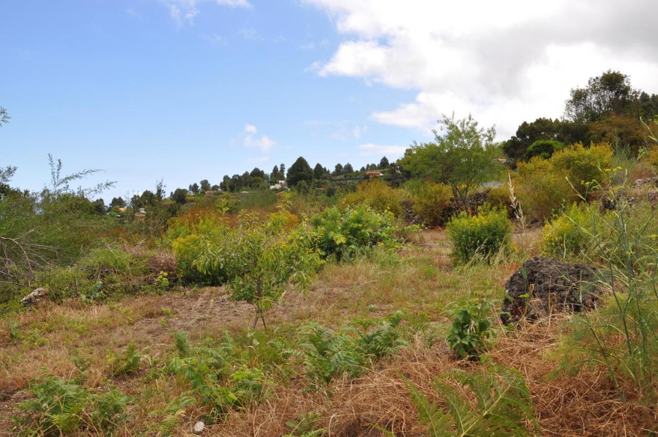 Oasis Hill Icod De Los Vinos Dış mekan fotoğraf