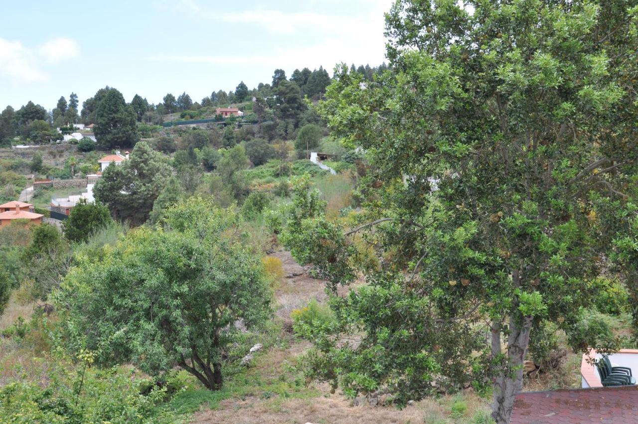 Oasis Hill Icod De Los Vinos Dış mekan fotoğraf
