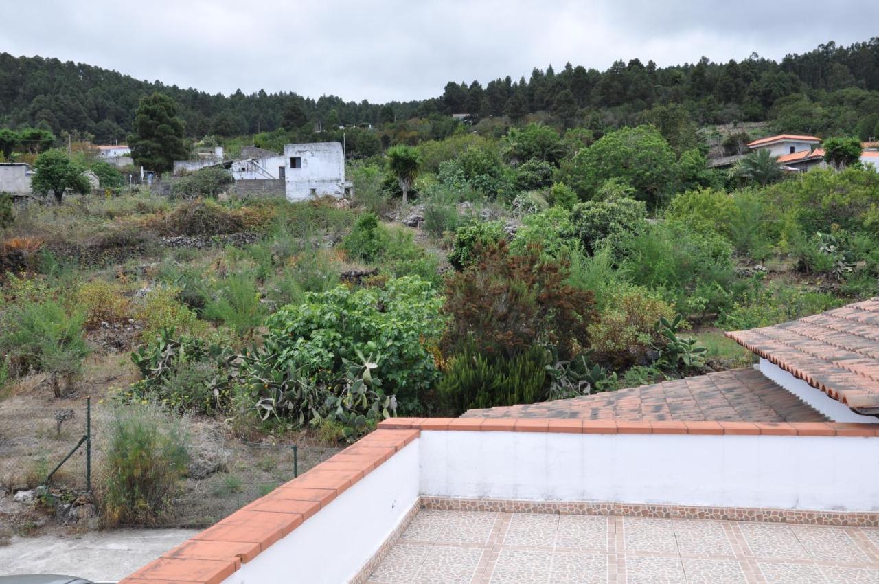 Oasis Hill Icod De Los Vinos Dış mekan fotoğraf
