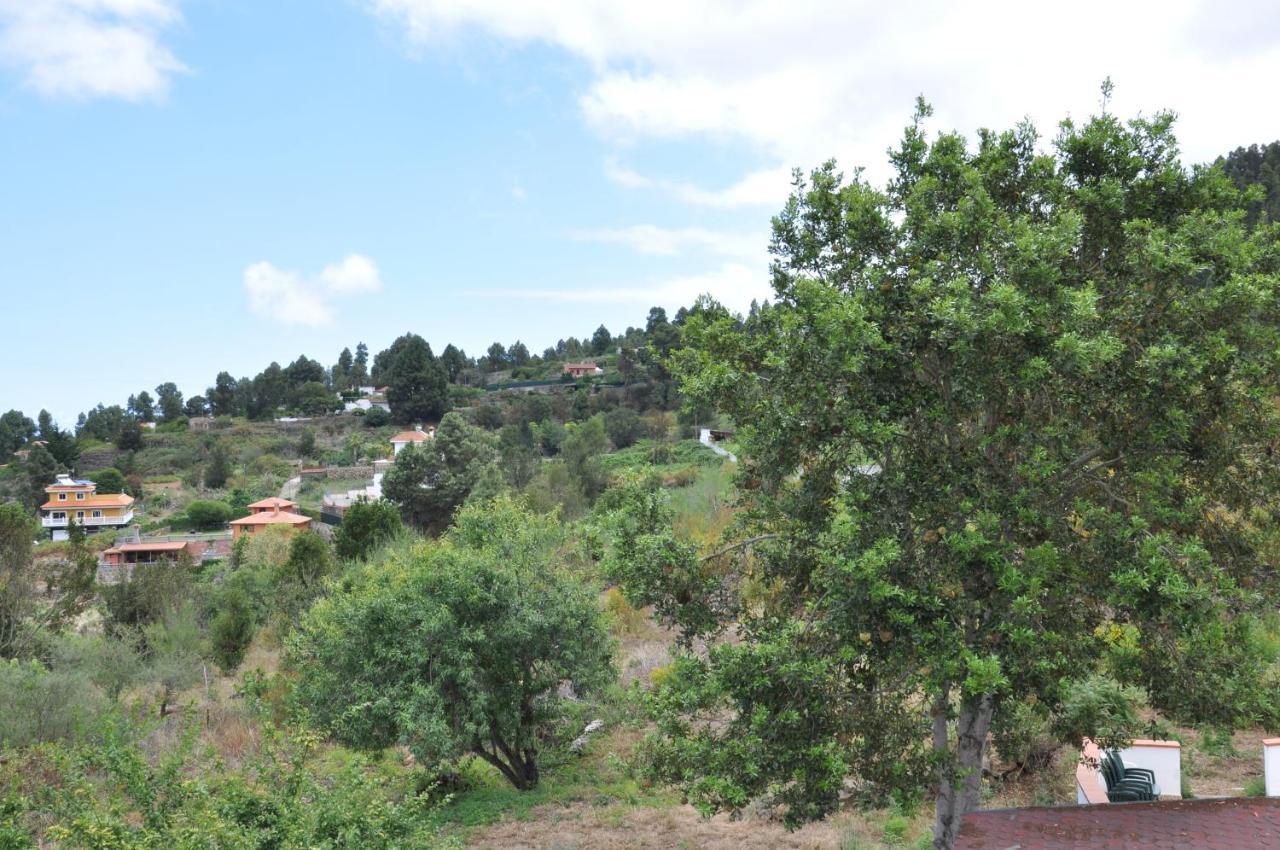 Oasis Hill Icod De Los Vinos Dış mekan fotoğraf
