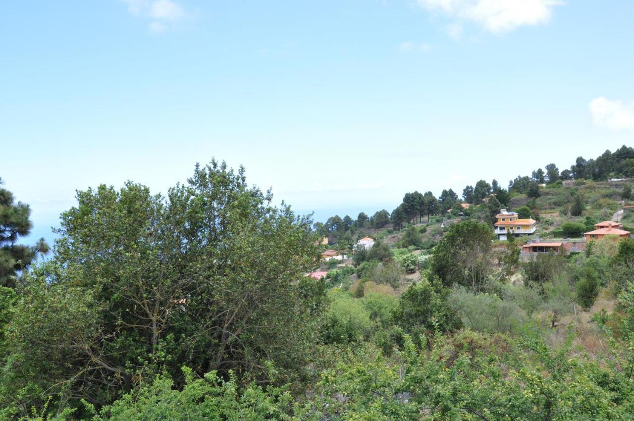 Oasis Hill Icod De Los Vinos Dış mekan fotoğraf