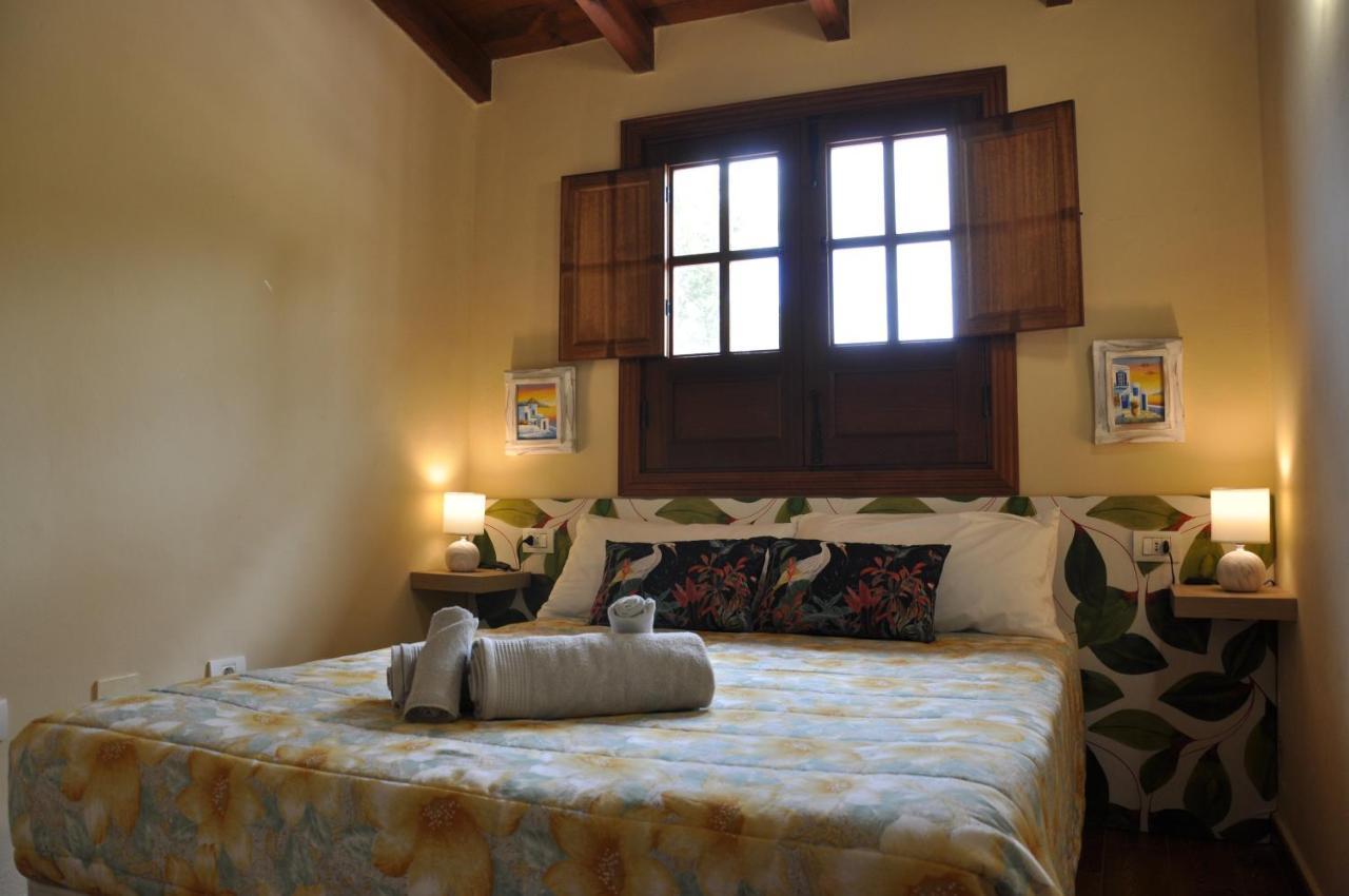 Oasis Hill Icod De Los Vinos Dış mekan fotoğraf