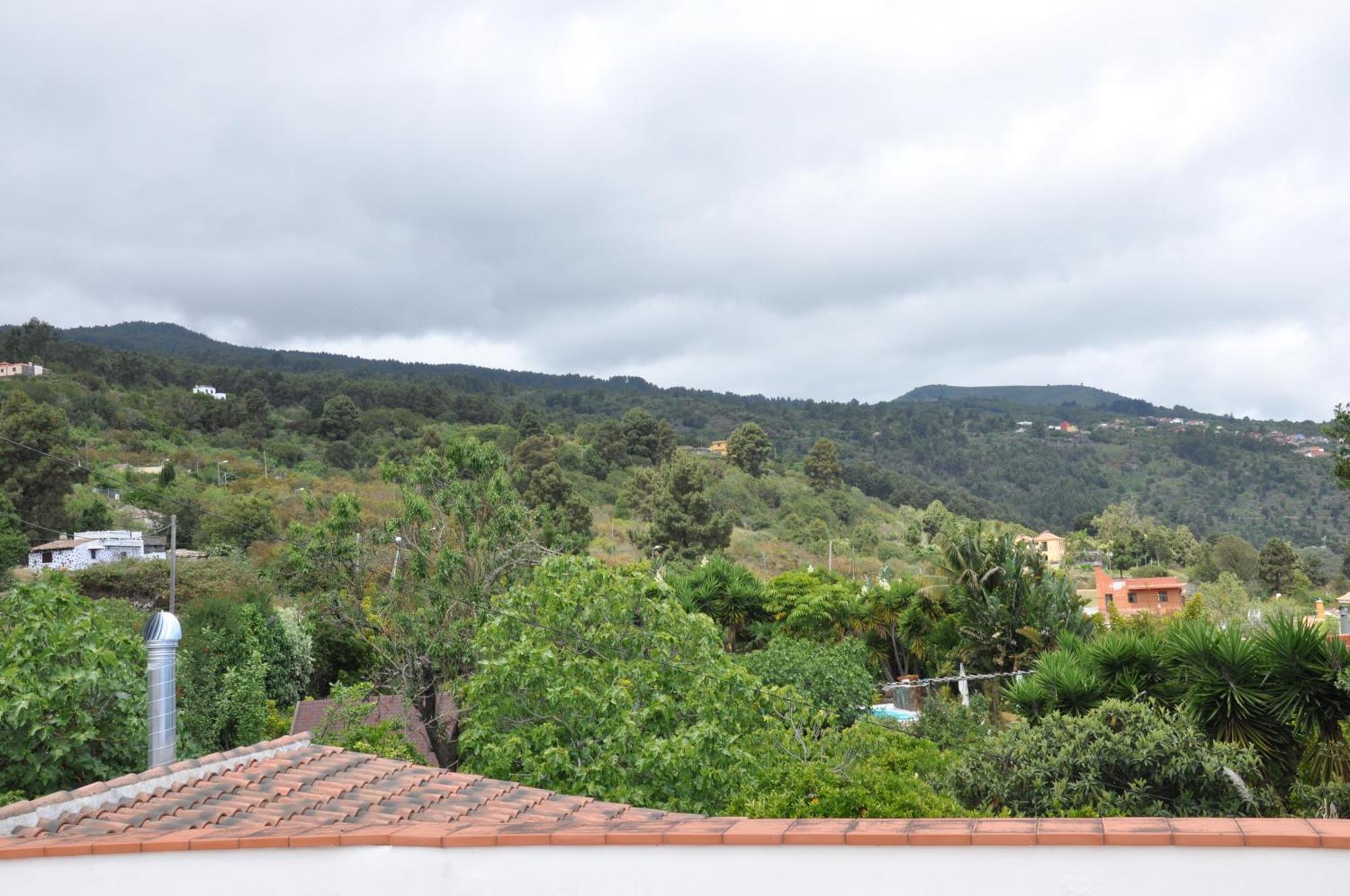 Oasis Hill Icod De Los Vinos Dış mekan fotoğraf